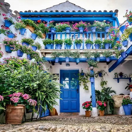 Juderia Apartment